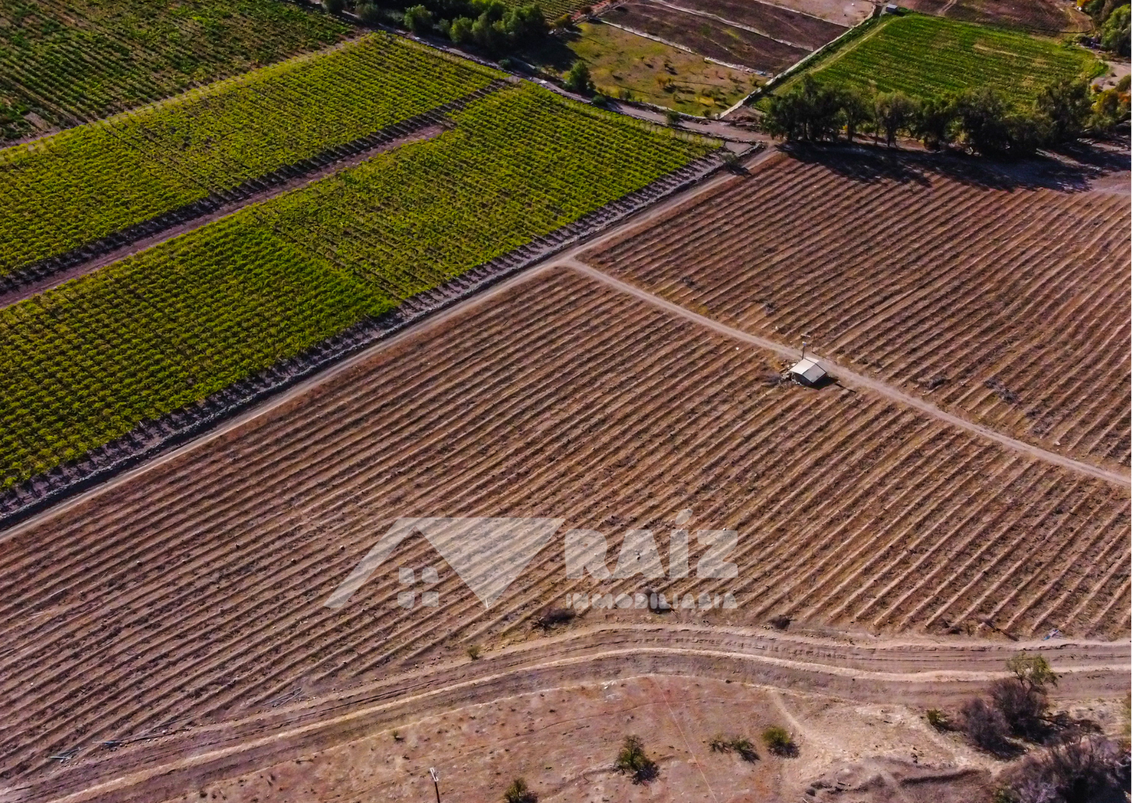 Parcelas en exclusivo Proyecto El Damascal