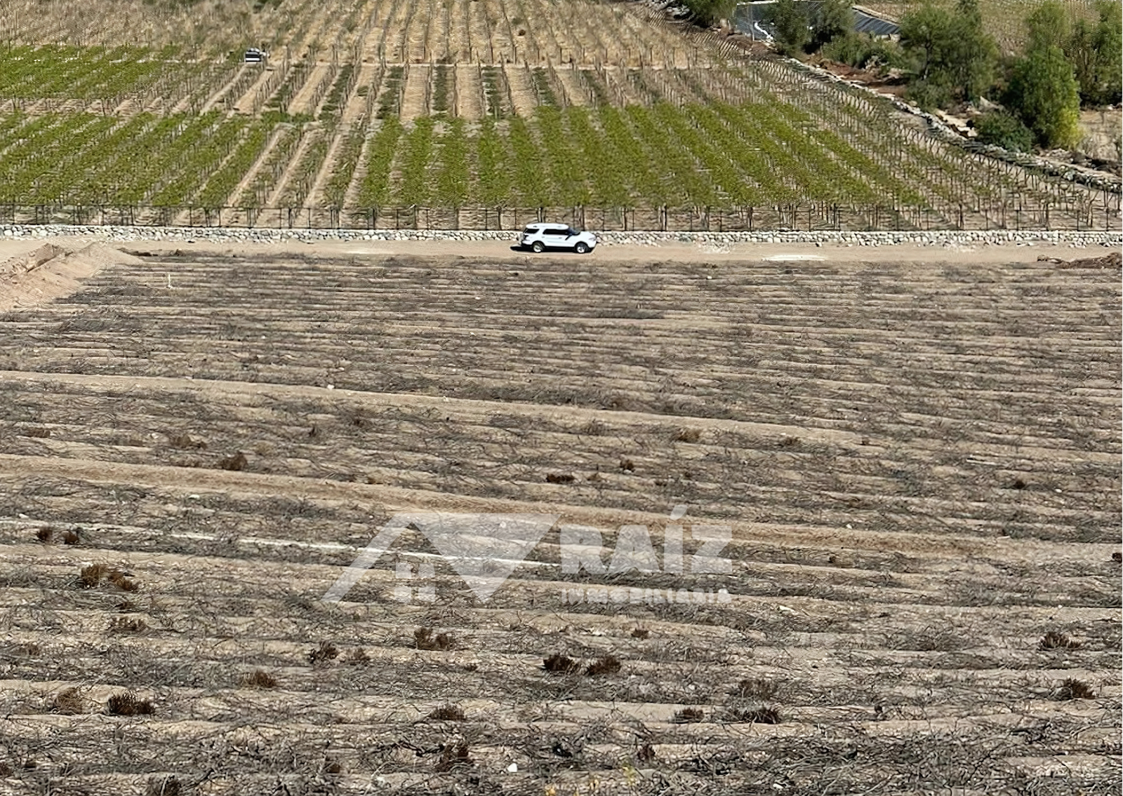 Parcelas en exclusivo Proyecto El Damascal