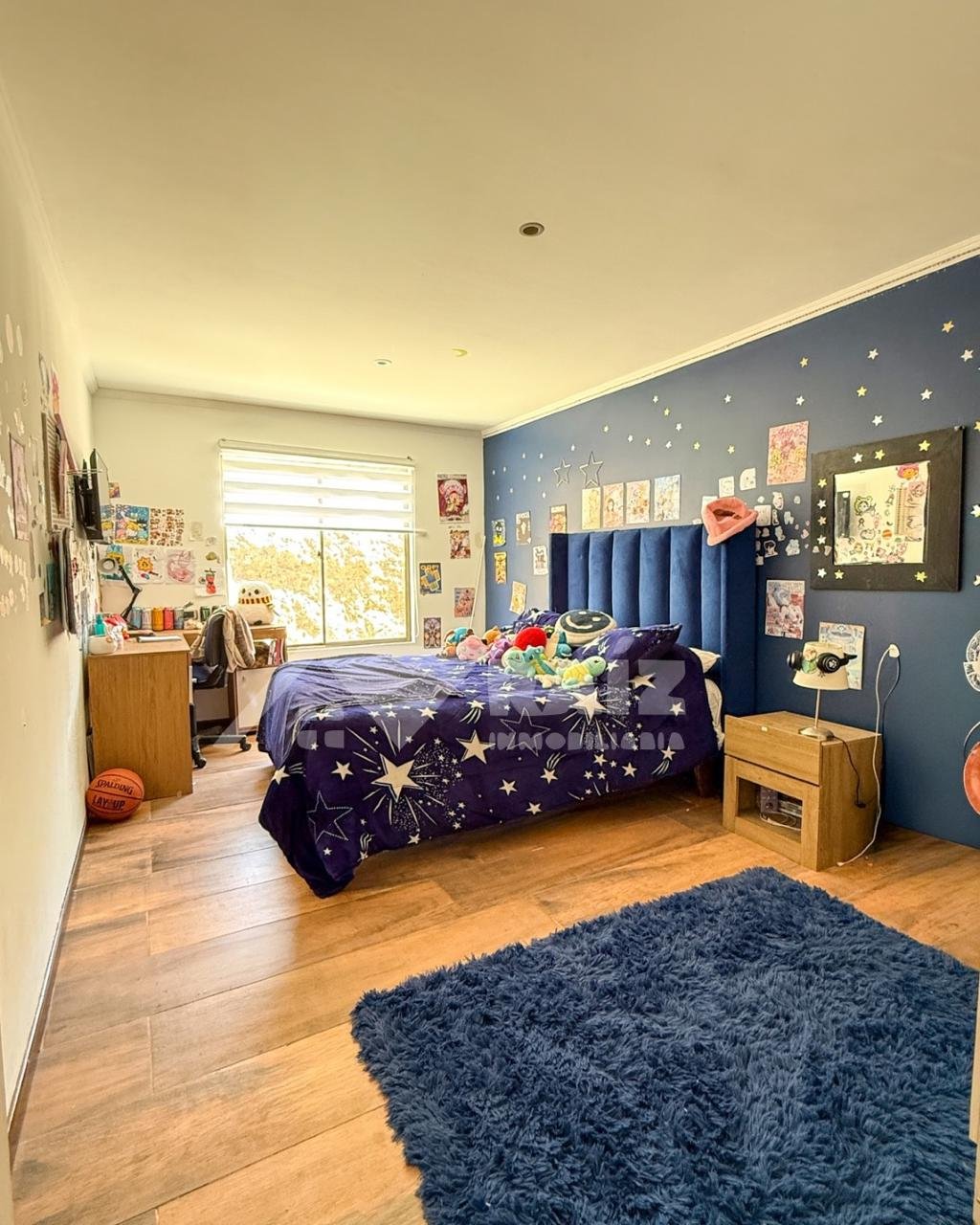 Parcela agro residencial 5.000 m² Alfalfares Oriente